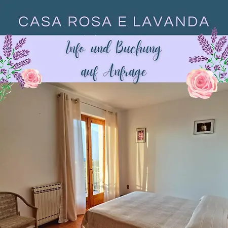 Rosa E Lavanda *