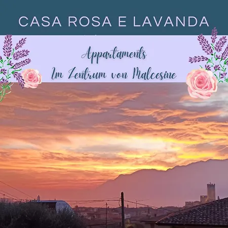 Rosa E Lavanda *
