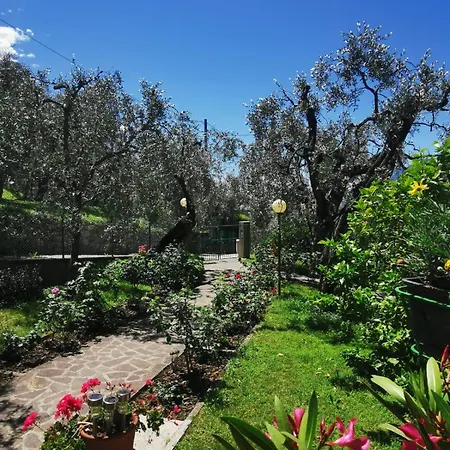 Rosa E Lavanda דירה מאלצ'סינה